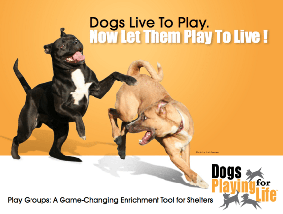dogs-playing-for-life-graphic